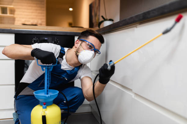 Best Local Pest Control Services  in Columbus, NE