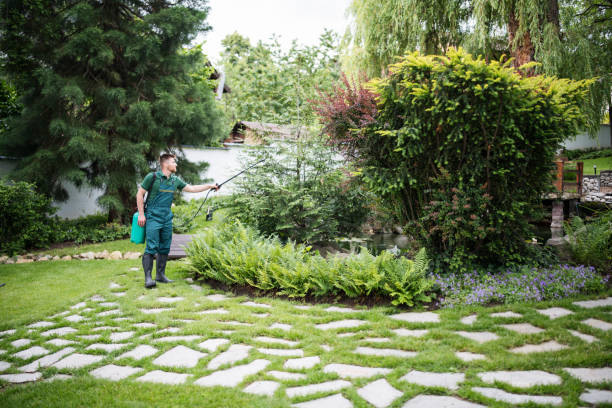 Best Wasp Removal Services  in Columbus, NE